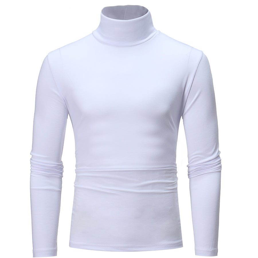 Sierra Merino Turtleneck